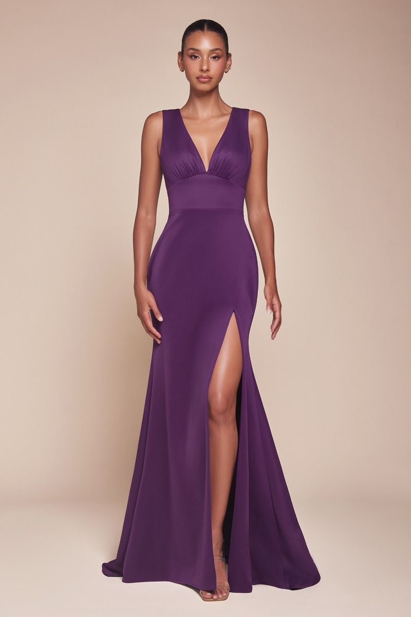Fitted V-Neck Mermaid Dress Tux-USA