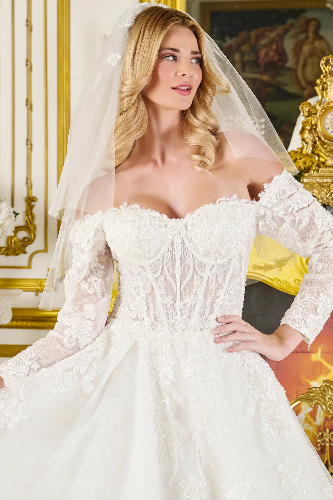 Wedding Ball Gown Off-Shoulder 3/4 Sleeves,A Sweetheart Neckline Corset Bodice Tux-USA