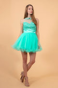 Embroidered Tulle Short Dress with Beaded Collar and Illusion Sweetheart Neckline Tux-USA